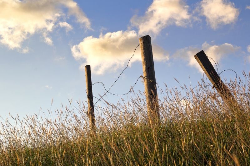 Pasture Fence Repair detail